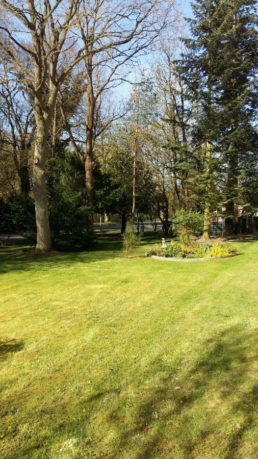 Ferienwohnung "Am Schlosspark" 니트초프 외부 사진