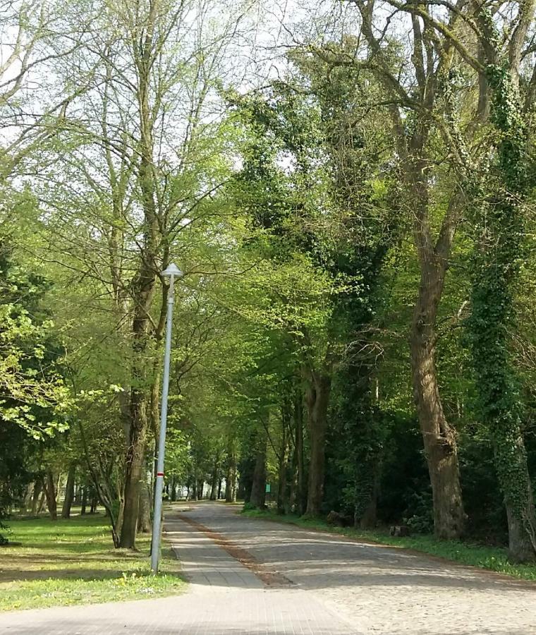 Ferienwohnung "Am Schlosspark" 니트초프 외부 사진