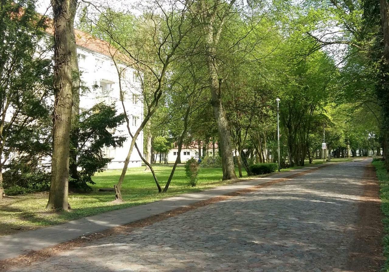 Ferienwohnung "Am Schlosspark" 니트초프 외부 사진